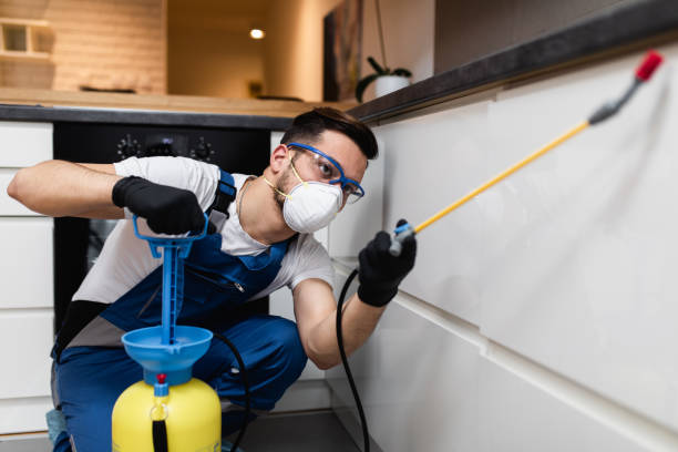 Best Residential Pest Control  in Warm Mineral Springs, FL